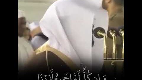 ياحسره على العباد ،، تلاوه ياسر الدوسري ، موثره