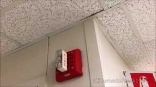 Fire Inspection 4: Pyrotronics MXL Fire System