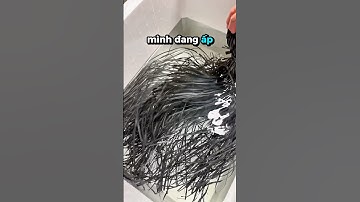 Tập 90 | lụa đợt này sinh sản ít quá anh em #traicacanhnhabunny #goldfish #fyp