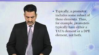 BIO302_Topic111