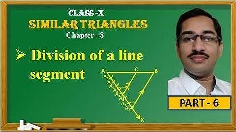 DIVISION OF A LINE SEGMENT//SIMILAR TRIANGLES//Exercise 8.1(9Q)//CLASS X,