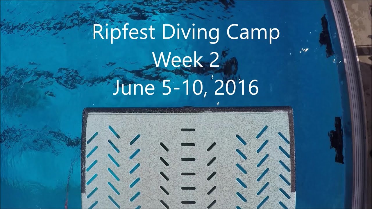 Ripfest Diving Camp 2016 | Week 2 - YouTube