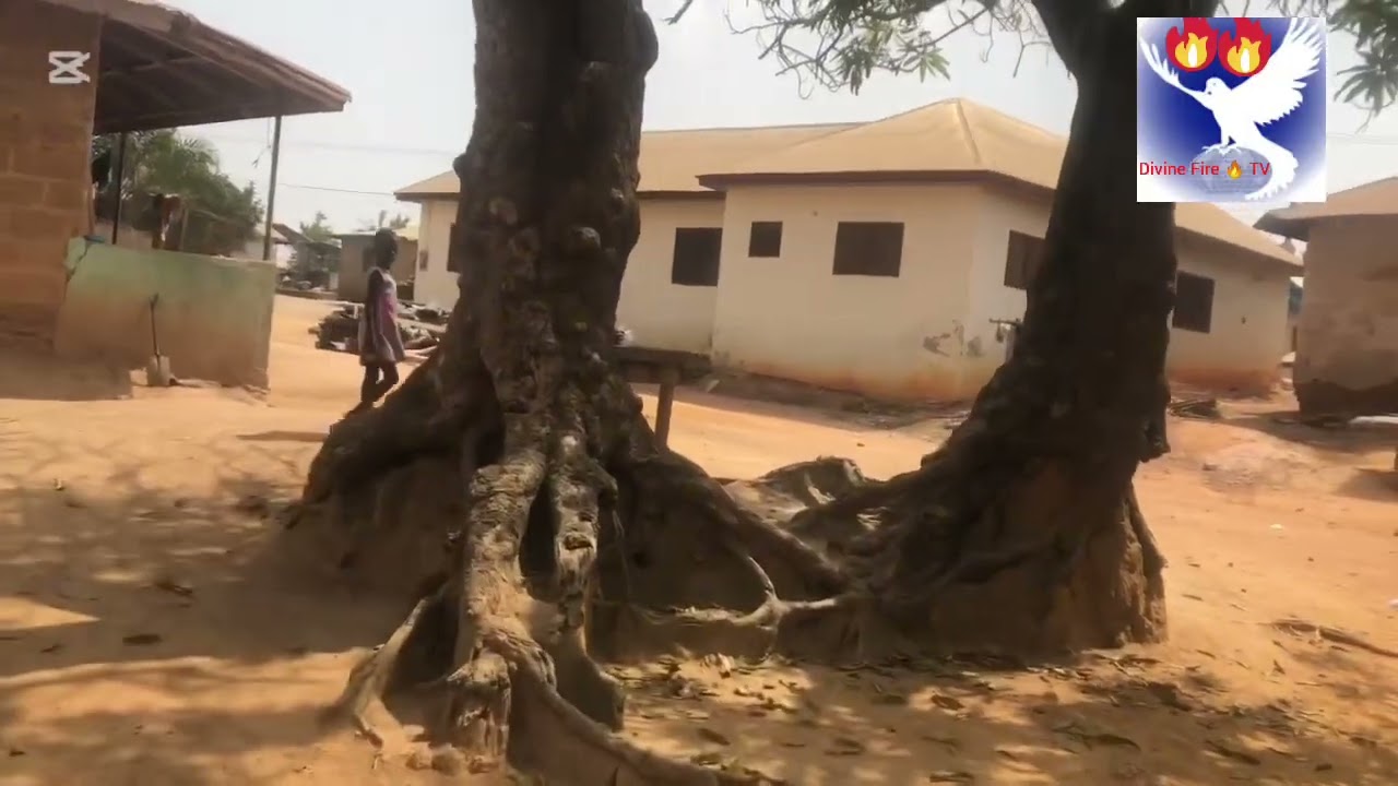 Давайте прогуляемся по Эдвенасе недалеко от Эджису.