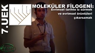 7UEK Ertan Mahir Korkmaz Molekler Filogeni