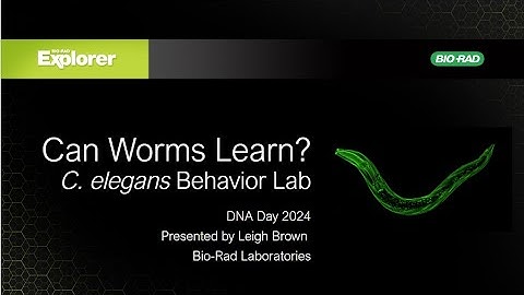 Webinar - Can Worms Learn?​ C. elegans Behavior Lab​