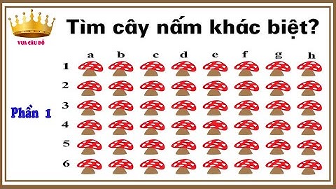 10 câu đố vui thử tài tinh mắt có đáp án khiến bạn chóng mặt phần 1