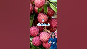 Lợi ích của quả vải với sức khỏe #thinhhanh #xuhuong #bacsidaivy #bacsivy #bsvy