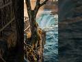 Serene &amp; Powerful: Cinematic Niagara Falls Experience