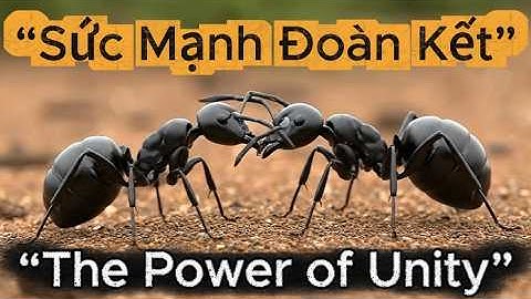 Bí Mật Đế Chế Kiến 2 Sức Mạnh Xây Dựng Trong Thế Giới Khắc Nghiệt