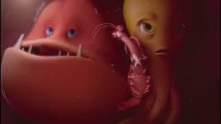 Female eel eats fish (D)