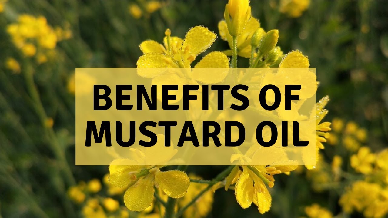 Benefits Of Mustard Oil Food Benefits YouTube
