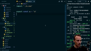 Tree Shaking CSS problem