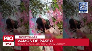 PBO EN VIVO