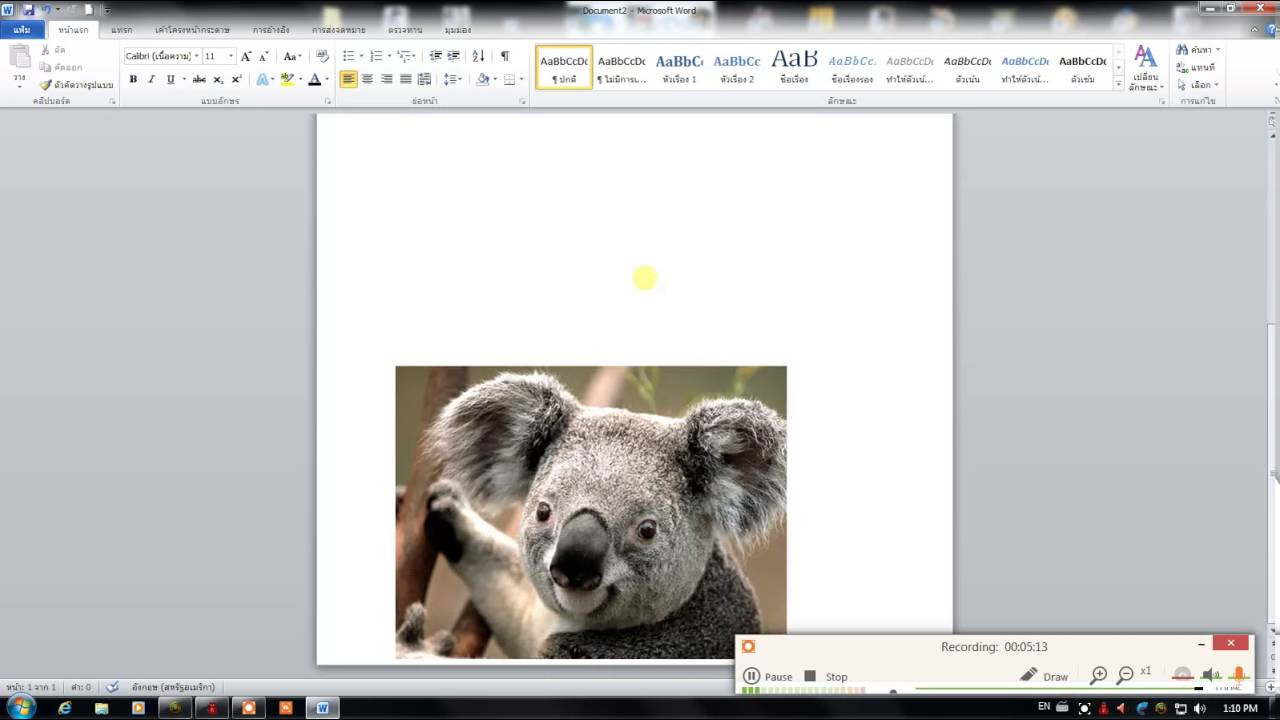 ส่วนประกอบของไมโครซอฟเวิร์ด  New  ส่วนประกอบของโปรแกรม microsoft word