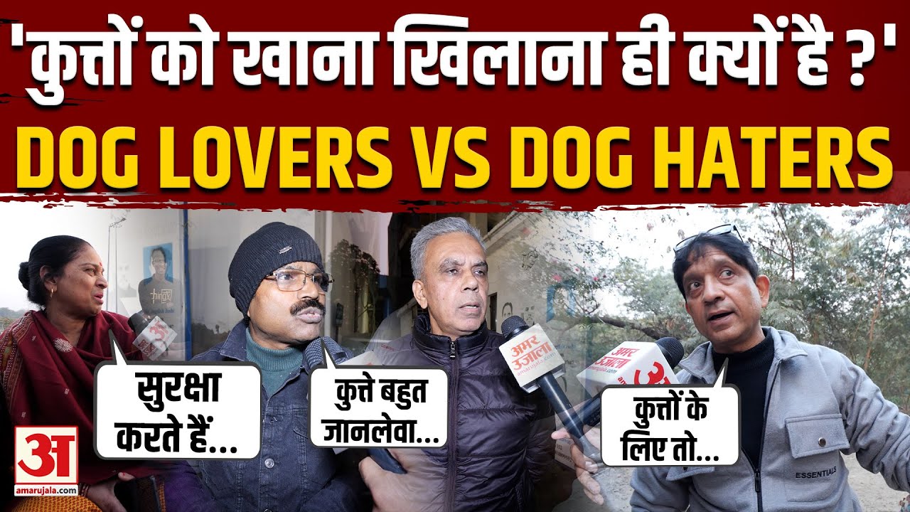 Dog Lovers vs Dog Haters: आवारा कुत्तों पर क्या बोले लोग? | Stray Dogs | Supreme Court on Dogs