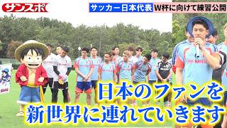 Soccer] Luffy Appears at the National Team Training Camp! 