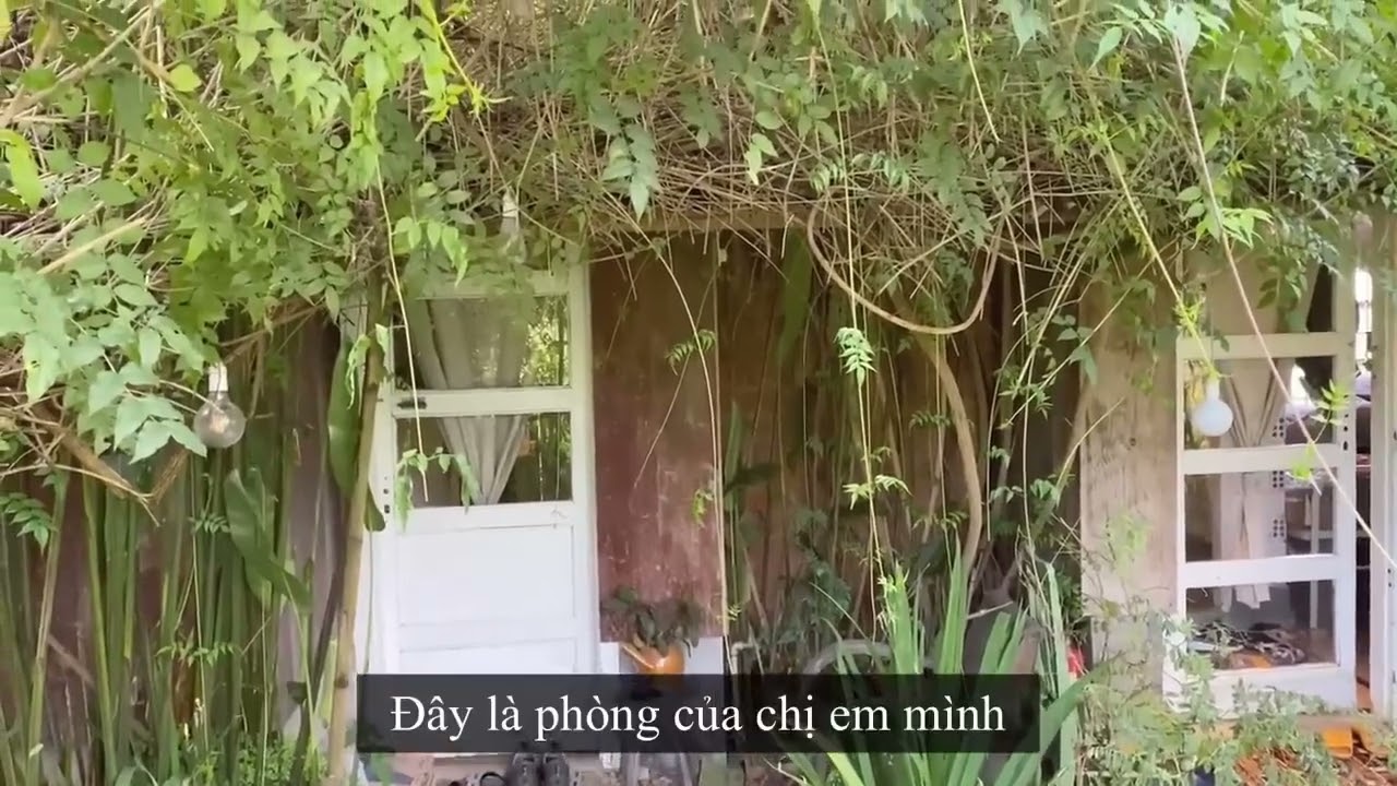 SnapSave io Video du lịch sạch