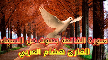 SOURATE_AL_FATIHA Récitée par HICHAM AL ARABI ..سورة الفاتحة مكررة بصوت ملائكي