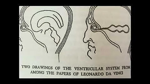 The Uraeus Egyptian Third Eye Snake, The Kundalini Activation