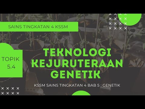 Video: Apakah perbezaan antara terapi gen dan kejuruteraan genetik?