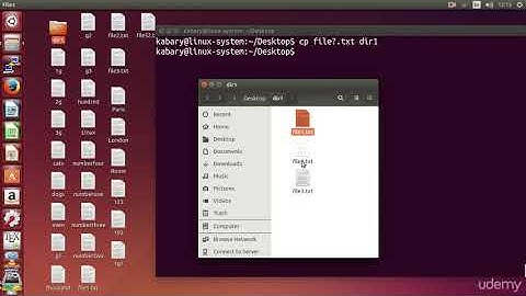 Linux Command Line Basics - Wildcards #1