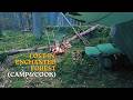 Lost in Enchanted Forest (Camp&Cook)