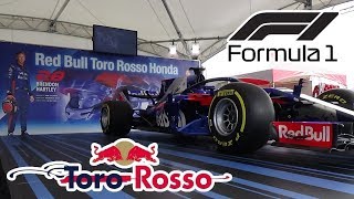 2018formula1 Red Bull Toro Rosso Honda/レッドブル トロ ロッソ ホンダ/エンジョイホンダ熊本2018