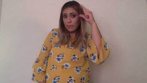 ASL Classifiers  Project erikawheaton