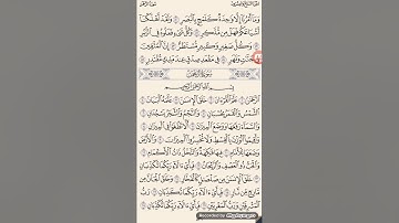 قراءة جميلة جداً لمقطع من سورة الرحمن  الشيخ وسام ابو مريم الشمري