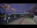 Night sakura at Tokyo Hirai・4K HDR