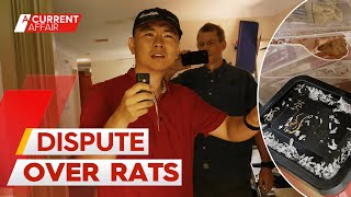 Rat-infested home sparks one of A Current Affair
