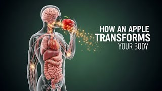 How an Apple Transforms Your Body from the Inside | Medical 3D Visualization