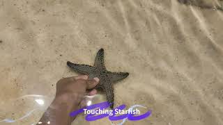 Touching Starfish Feels like #shorts