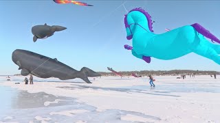 Boji Kites Back at the University of Okoboji Winter Games