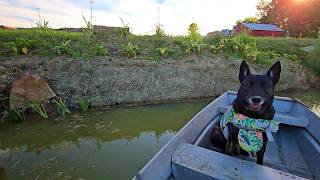 When Does MUMBLES RETURN To The POND!? _ Experimental Erosion Control! // Whitt Acres