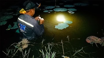 CSRV 83 | Giăng câu cá lóc mà dính một ổ cá phi, ông Tiền ổng la làng