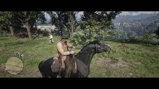 Red Dead Redemption 2 gameplay