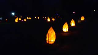 Glow Wild Wakehurst