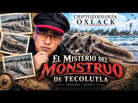 The Tecolutla Monster: I investigated the mystery that baffled Mexico