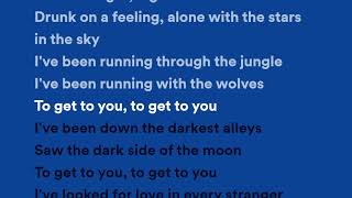Selena Gomez, Marshmello - Wolves [lyrics]