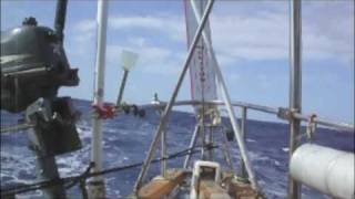 Monitor Wind Vane
