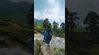 Kerala's hidden gem - Suryanelli in the Monsoon! 🌧 #travelshorts #travel #tanyakhanijowshorts