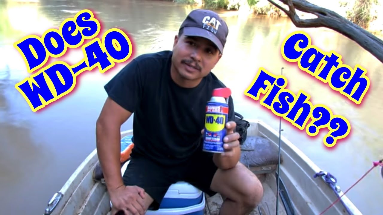 Fishing With WD 40 - YouTube