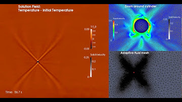 Computational Fluid Dynamics: St Andrews Cross test case using Fluidity