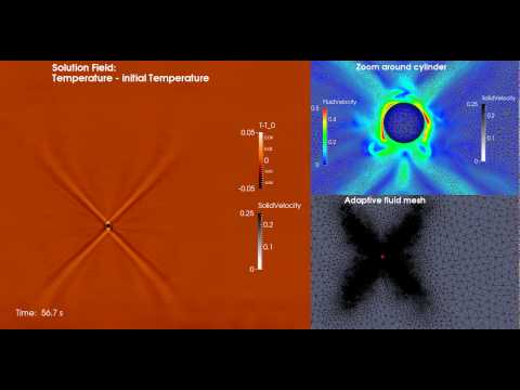 Computational Fluid Dynamics: St Andrews Cross test case using Fluidity