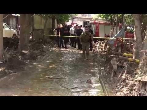 თბილისში ვეფხვმა ადამიანის სიცოცხლე იმსხვერპლა