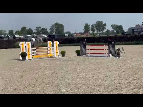 Panache vd Wateringhoeve - CSI2* Wuustwezel - 27 06 2024