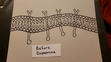 Dopamine Signaling Pathway