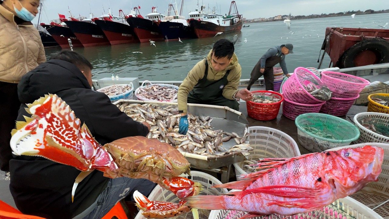 廣東 陸豐 碣石中心漁港 11元一斤八爪魚 15元一斤章紅 雙蓮市場 潮汕生腌 100元一斤魷魚乾 260元一斤海參 濱海樹脚豆花 Seafood Market StreetFood Citywalk