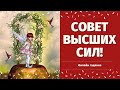 СОВЕТ ОТ ВЫСШИХ СИЛ! СОВЕТ ТАРО. ЧТО ВАМ НАДО ЗНАТЬ ПРЯМО СЕЙЧАС? расклад на судьбу